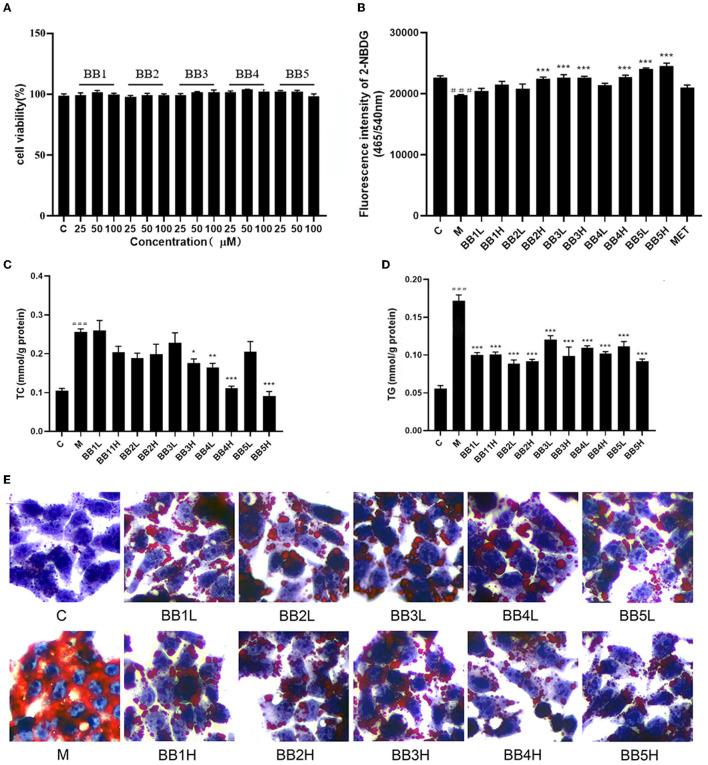 https://cdn.ncbi.nlm.nih.gov/pmc/blobs/c38c/10232738/f0938b086fa5/fnut-10-1172982-g0002.jpg