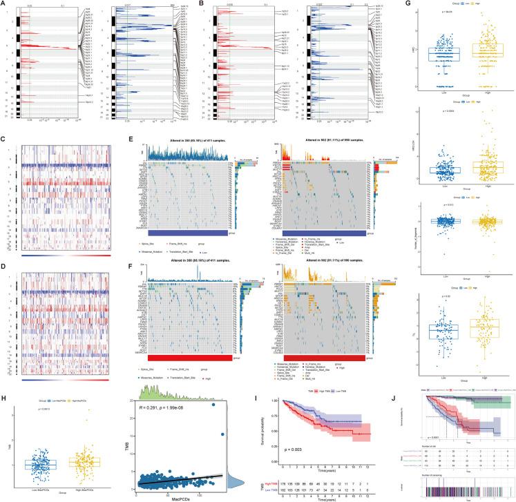 https://cdn.ncbi.nlm.nih.gov/pmc/blobs/c38c/12125160/390eec2bf3b4/10565_2025_10023_Fig4_HTML.jpg