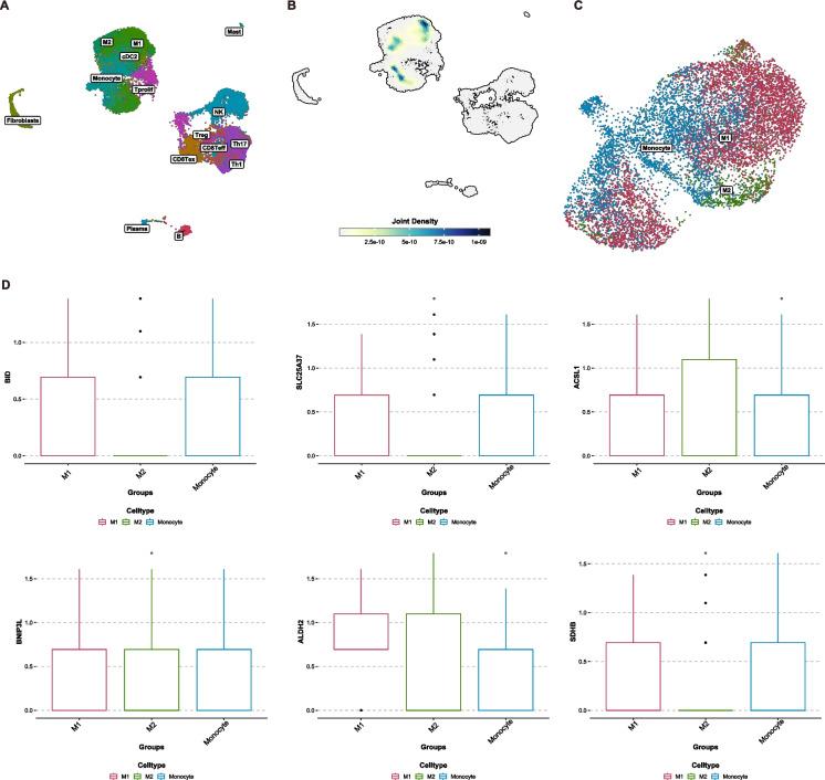 https://cdn.ncbi.nlm.nih.gov/pmc/blobs/c38c/12125160/e029314feacf/10565_2025_10023_Fig11_HTML.jpg
