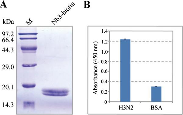 https://cdn.ncbi.nlm.nih.gov/pmc/blobs/c38c/4199786/e8ebbe85f051/1556-276X-9-528-5.jpg