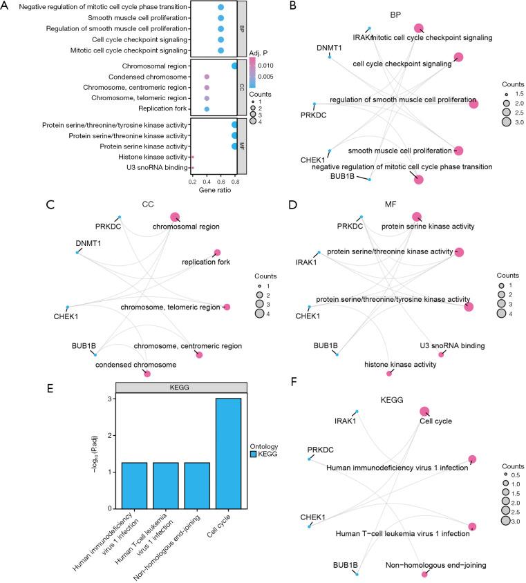 https://cdn.ncbi.nlm.nih.gov/pmc/blobs/c38e/11635202/bab1417c1966/jtd-16-11-7866-f5.jpg