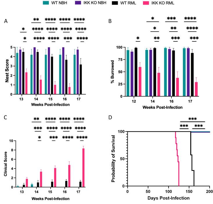 https://cdn.ncbi.nlm.nih.gov/pmc/blobs/c38e/12185024/0105e03cb2cb/ppat.1012582.g002.jpg