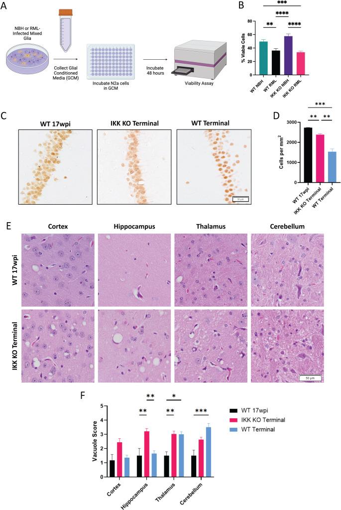https://cdn.ncbi.nlm.nih.gov/pmc/blobs/c38e/12185024/6cf96db48e68/ppat.1012582.g005.jpg