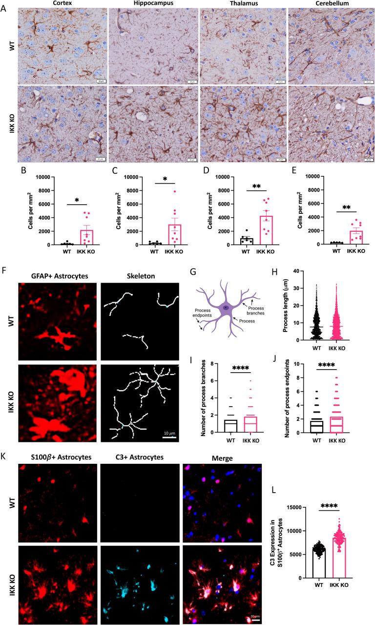 https://cdn.ncbi.nlm.nih.gov/pmc/blobs/c38e/12185024/9b54e0bd4c79/ppat.1012582.g004.jpg