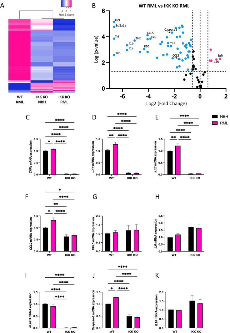 https://cdn.ncbi.nlm.nih.gov/pmc/blobs/c38e/12185024/f44ede5f89f6/ppat.1012582.g001.jpg
