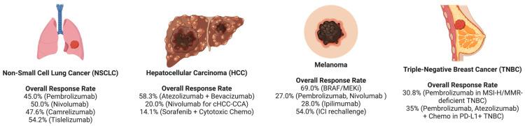 https://cdn.ncbi.nlm.nih.gov/pmc/blobs/c38f/12071127/9c6dfa51671a/cancers-17-01408-g001.jpg