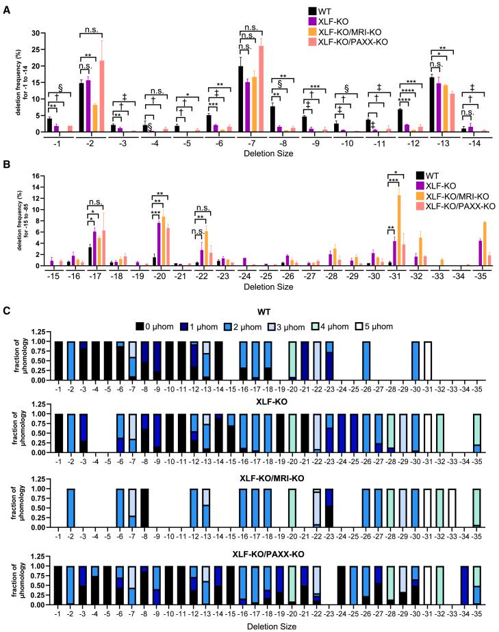 https://cdn.ncbi.nlm.nih.gov/pmc/blobs/c38f/12179622/0663a933ebae/gr7.jpg