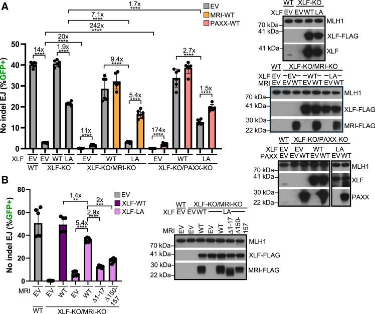 https://cdn.ncbi.nlm.nih.gov/pmc/blobs/c38f/12179622/d54b0ce0c34b/gr5.jpg