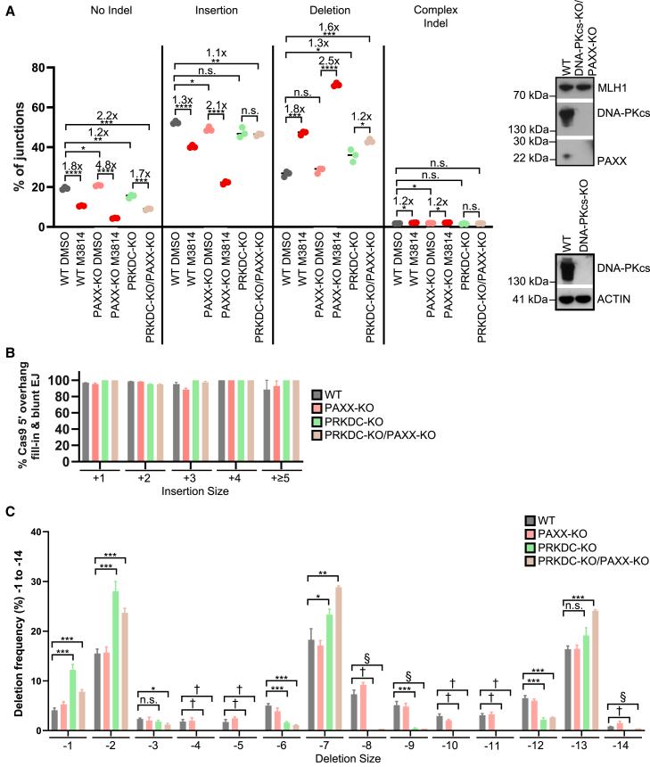 https://cdn.ncbi.nlm.nih.gov/pmc/blobs/c38f/12179622/e36599b1eedd/gr4.jpg