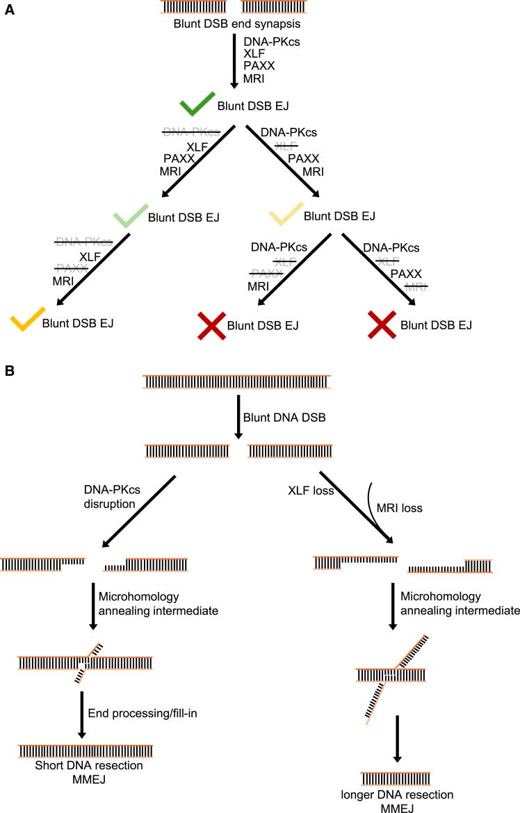 https://cdn.ncbi.nlm.nih.gov/pmc/blobs/c38f/12179622/fcaee6f68b48/gr8.jpg
