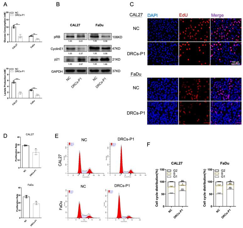 https://cdn.ncbi.nlm.nih.gov/pmc/blobs/c390/10886527/47a6834e26da/biomedicines-12-00305-g002.jpg