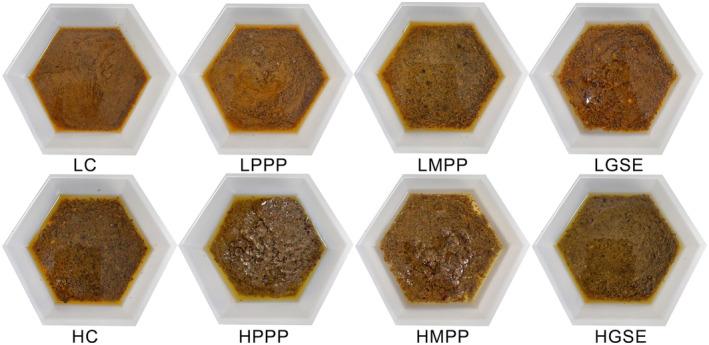 https://cdn.ncbi.nlm.nih.gov/pmc/blobs/c393/10804111/3f281619840d/FSN3-12-370-g010.jpg