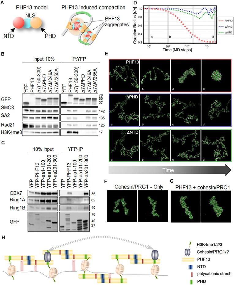 https://cdn.ncbi.nlm.nih.gov/pmc/blobs/c394/12214034/27a6eddbd38d/gkaf572fig6.jpg