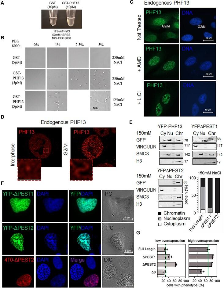 https://cdn.ncbi.nlm.nih.gov/pmc/blobs/c394/12214034/9c7d541cb953/gkaf572fig8.jpg