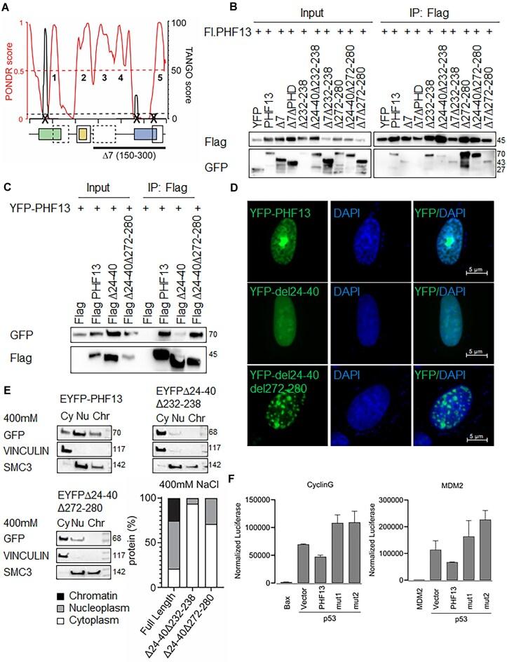 https://cdn.ncbi.nlm.nih.gov/pmc/blobs/c394/12214034/a4ad88d4c834/gkaf572fig7.jpg