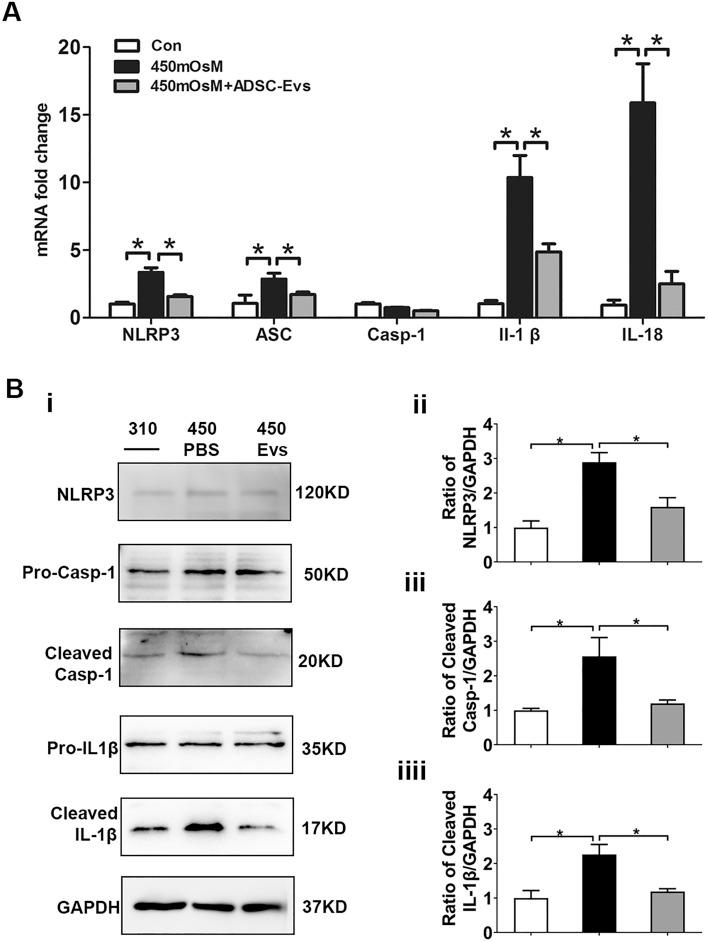 https://cdn.ncbi.nlm.nih.gov/pmc/blobs/c394/7471690/17873e65e01d/41598_2020_71337_Fig6_HTML.jpg