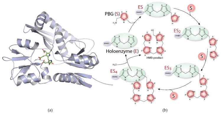 https://cdn.ncbi.nlm.nih.gov/pmc/blobs/c399/7827610/fb308ea7a768/ijms-22-00675-g003.jpg