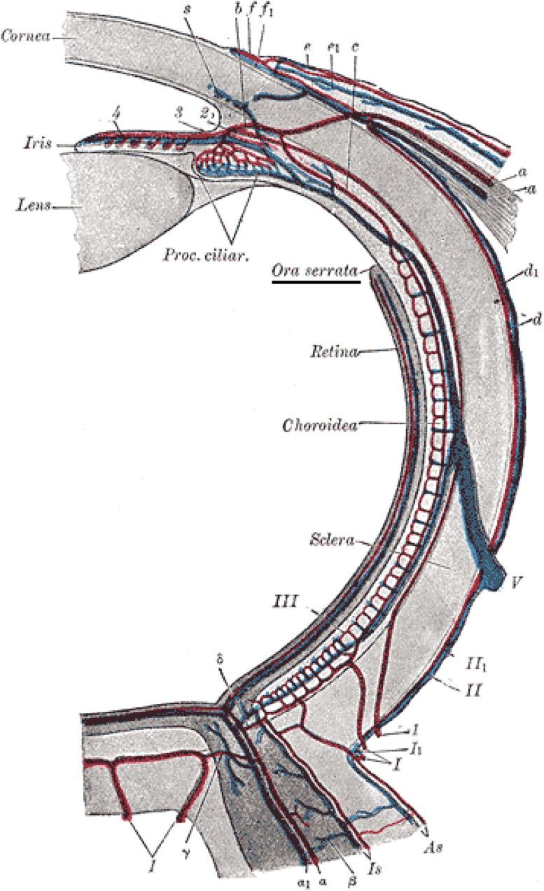 https://cdn.ncbi.nlm.nih.gov/pmc/blobs/c39a/9849422/a79b590d2462/mrms-22-45-g1.jpg