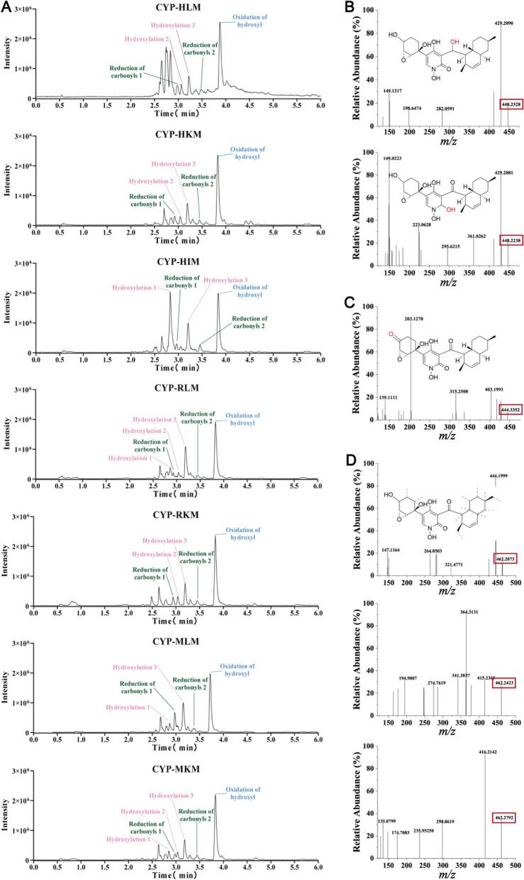 https://cdn.ncbi.nlm.nih.gov/pmc/blobs/c39b/11109052/8fbfba266527/13659_2024_455_Fig2_HTML.jpg
