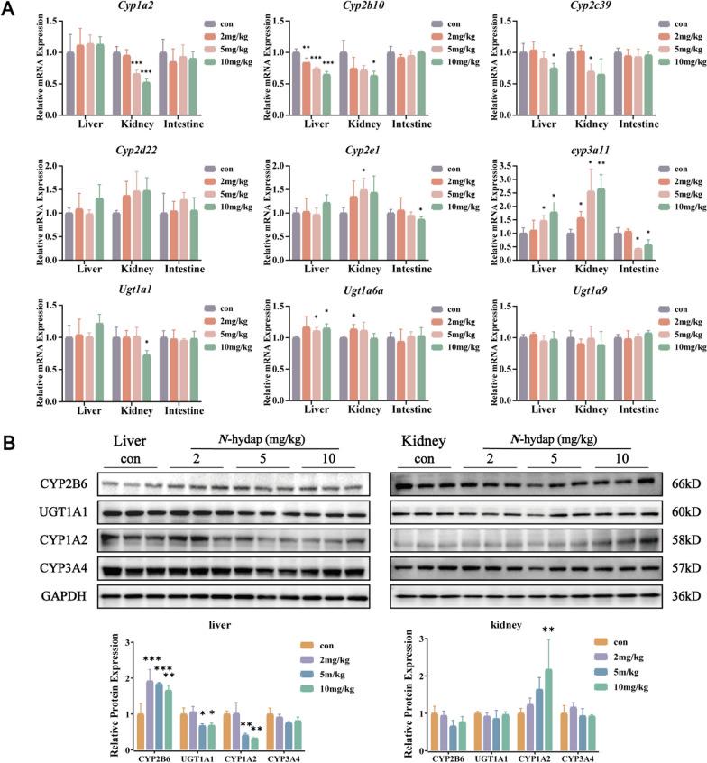 https://cdn.ncbi.nlm.nih.gov/pmc/blobs/c39b/11109052/c77f894b3a9c/13659_2024_455_Fig8_HTML.jpg