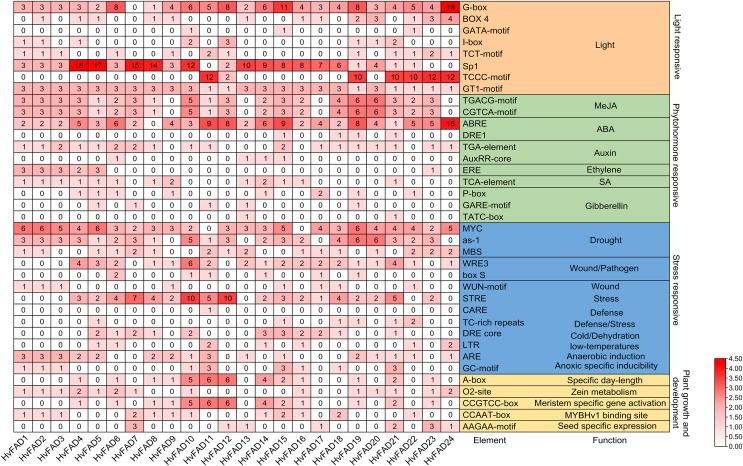 https://cdn.ncbi.nlm.nih.gov/pmc/blobs/c39d/10909363/e24d21395f85/peerj-12-16812-g005.jpg