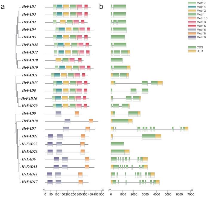 https://cdn.ncbi.nlm.nih.gov/pmc/blobs/c39d/10909363/f9b2387ac003/peerj-12-16812-g003.jpg