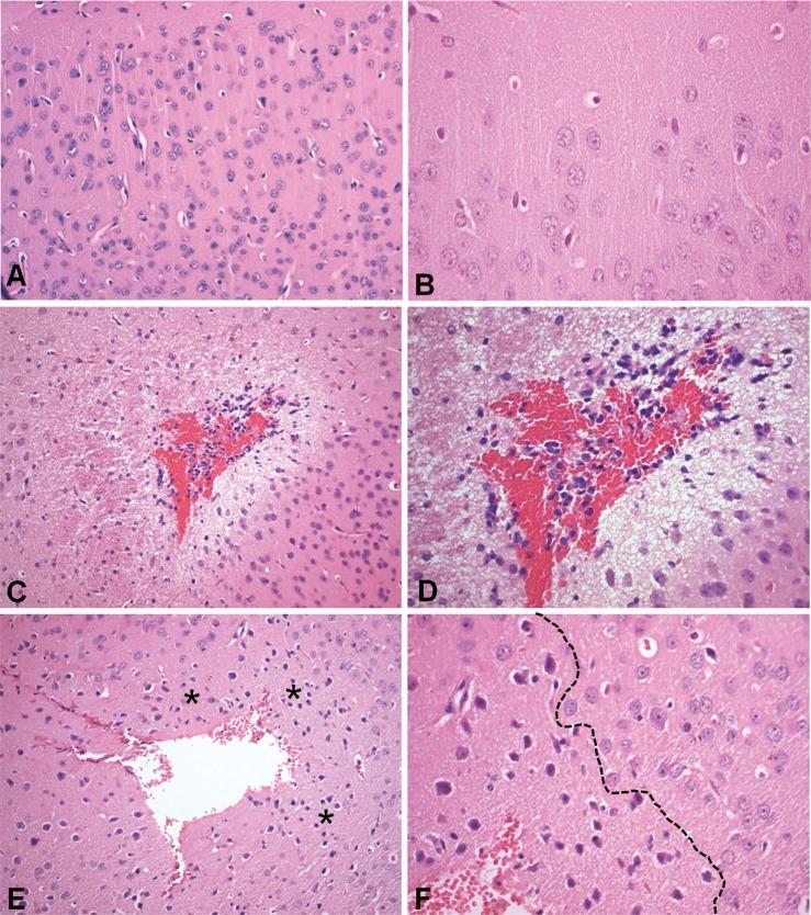 https://cdn.ncbi.nlm.nih.gov/pmc/blobs/c3a2/3611745/db16aa19383c/cln-68-03-391-g003.jpg