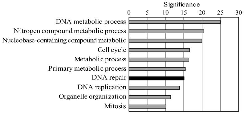 https://cdn.ncbi.nlm.nih.gov/pmc/blobs/c3a7/7694100/39bc13376ab4/pathogens-09-00909-g001.jpg