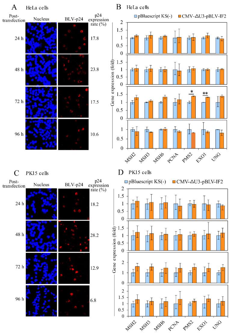 https://cdn.ncbi.nlm.nih.gov/pmc/blobs/c3a7/7694100/457427204d24/pathogens-09-00909-g004.jpg