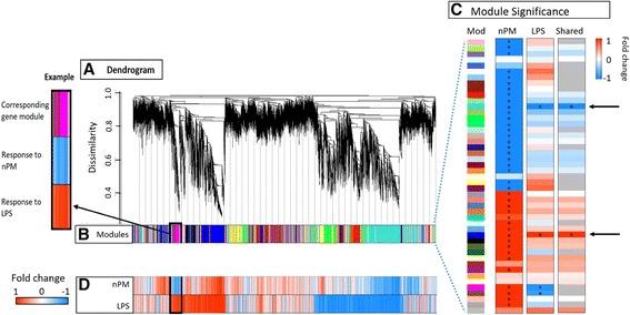 https://cdn.ncbi.nlm.nih.gov/pmc/blobs/c3a8/5391610/59bb1b181589/12974_2017_858_Fig4_HTML.jpg