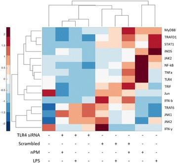 https://cdn.ncbi.nlm.nih.gov/pmc/blobs/c3a8/5391610/67a331e27506/12974_2017_858_Fig10_HTML.jpg