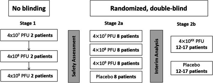 https://cdn.ncbi.nlm.nih.gov/pmc/blobs/c3a8/9795609/9c0ae81d5904/13063_2022_7047_Fig1_HTML.jpg