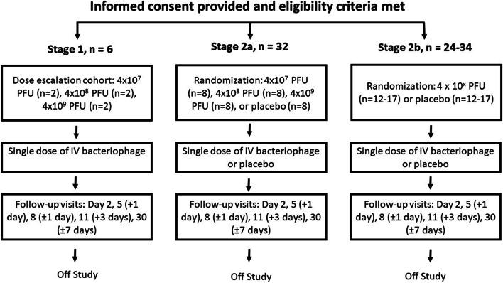 https://cdn.ncbi.nlm.nih.gov/pmc/blobs/c3a8/9795609/9fb5228458c5/13063_2022_7047_Fig3_HTML.jpg