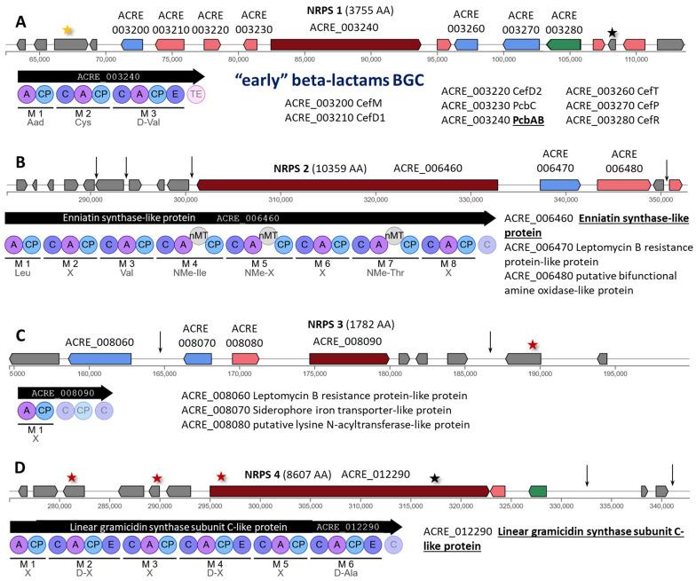 https://cdn.ncbi.nlm.nih.gov/pmc/blobs/c3a9/11719821/d92a83b84977/ijms-26-00181-g002.jpg