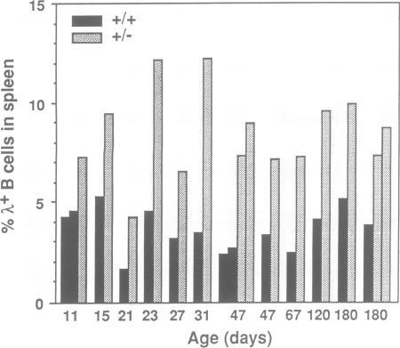https://cdn.ncbi.nlm.nih.gov/pmc/blobs/c3a9/413279/c87473835792/emboj00075-0030-b.jpg