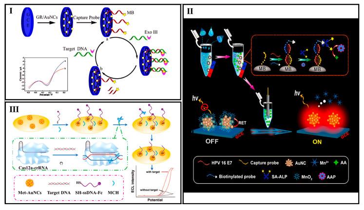 https://cdn.ncbi.nlm.nih.gov/pmc/blobs/c3ab/12293134/455dd674aca4/biosensors-15-00460-g006.jpg