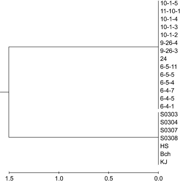 https://cdn.ncbi.nlm.nih.gov/pmc/blobs/c3ab/3539124/c695c8e6bebf/jvs-13-385-g001.jpg