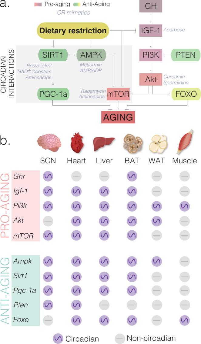 https://cdn.ncbi.nlm.nih.gov/pmc/blobs/c3ae/8129076/fde6551820a0/41467_2021_22922_Fig2_HTML.jpg