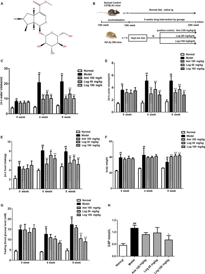 https://cdn.ncbi.nlm.nih.gov/pmc/blobs/c3af/7294151/7aec6f064895/JCMM-24-6083-g001.jpg