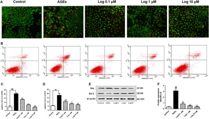 https://cdn.ncbi.nlm.nih.gov/pmc/blobs/c3af/7294151/8b7101a70686/JCMM-24-6083-g005.jpg