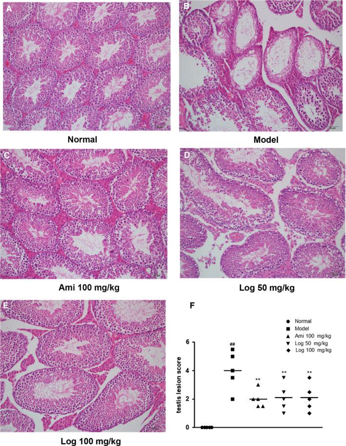 https://cdn.ncbi.nlm.nih.gov/pmc/blobs/c3af/7294151/c0d5b6a0ae61/JCMM-24-6083-g003.jpg