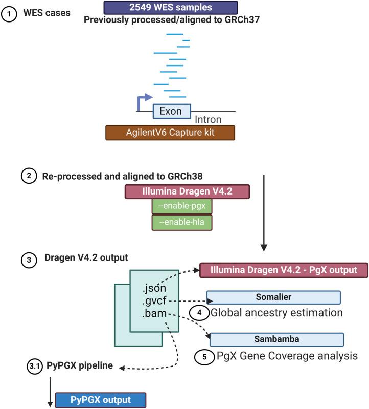 https://cdn.ncbi.nlm.nih.gov/pmc/blobs/c3b2/12159002/18b7aef8c706/fgene-16-1574325-g001.jpg