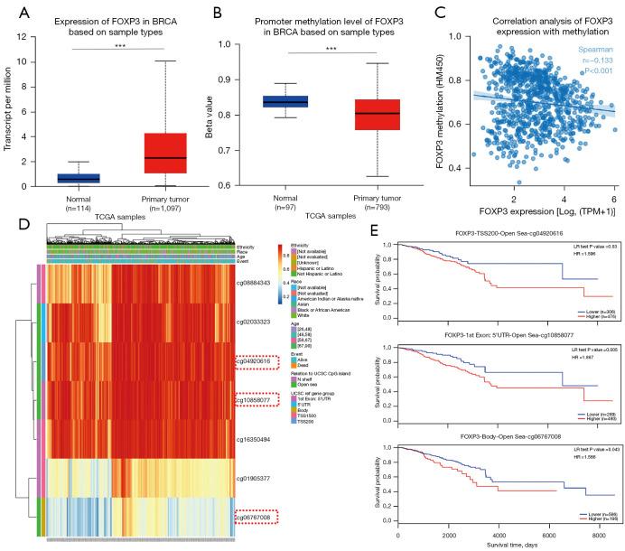 https://cdn.ncbi.nlm.nih.gov/pmc/blobs/c3b3/9372690/49cd469ab678/atm-10-14-801-f5.jpg