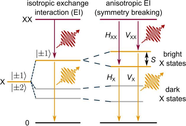 https://cdn.ncbi.nlm.nih.gov/pmc/blobs/c3b5/12133319/663a932d7b12/j_nanoph-2024-0747_fig_014.jpg