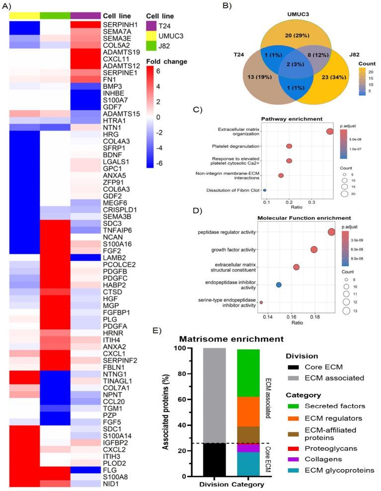 https://cdn.ncbi.nlm.nih.gov/pmc/blobs/c3b6/12336036/c308eb181b29/fonc-15-1616943-g002.jpg