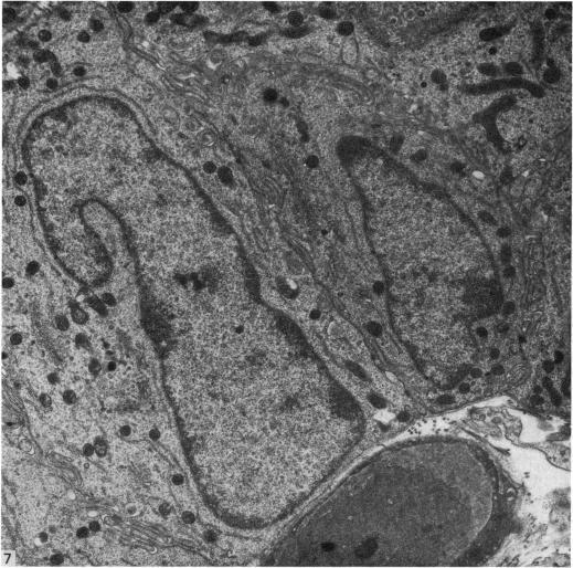 https://cdn.ncbi.nlm.nih.gov/pmc/blobs/c3b9/1235598/2ac720a43e52/janat00360-0094-a.jpg