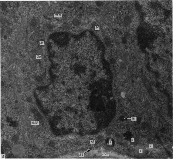 https://cdn.ncbi.nlm.nih.gov/pmc/blobs/c3b9/1235598/580c789ed250/janat00360-0092-a.jpg