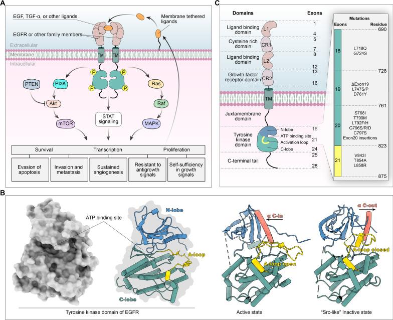 https://cdn.ncbi.nlm.nih.gov/pmc/blobs/c3b9/9287895/6b4ea2ba488e/13045_2022_1311_Fig1_HTML.jpg
