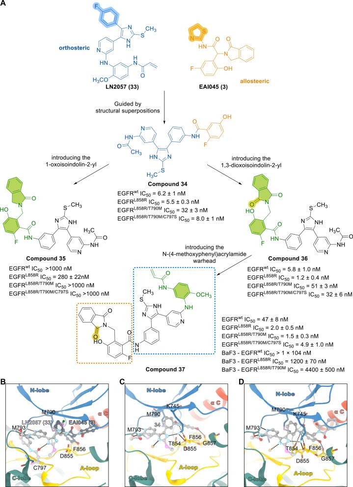 https://cdn.ncbi.nlm.nih.gov/pmc/blobs/c3b9/9287895/a2c1f6a41979/13045_2022_1311_Fig7_HTML.jpg
