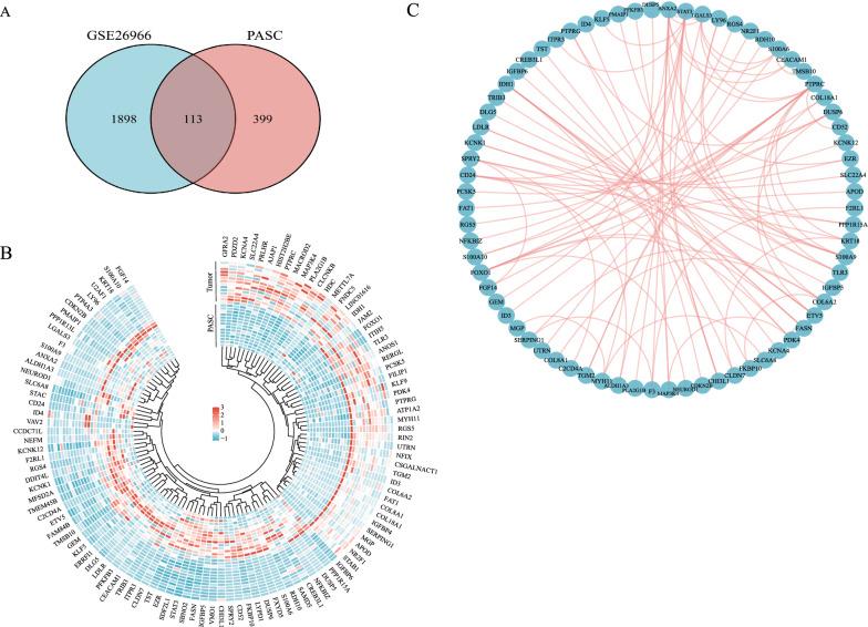 https://cdn.ncbi.nlm.nih.gov/pmc/blobs/c3bc/9906881/0b215adbaea2/40478_2023_1517_Fig4_HTML.jpg